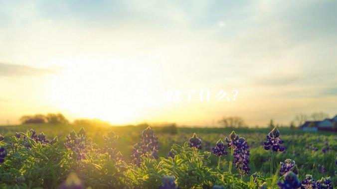 你最狂的一次，做了什么？
