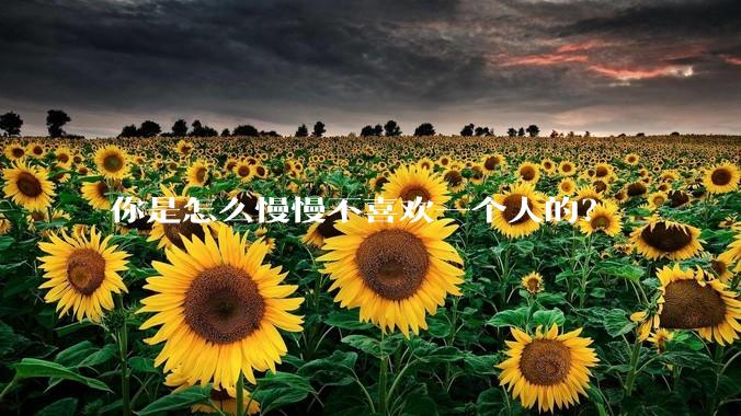 你是怎么慢慢不喜欢一个人的？