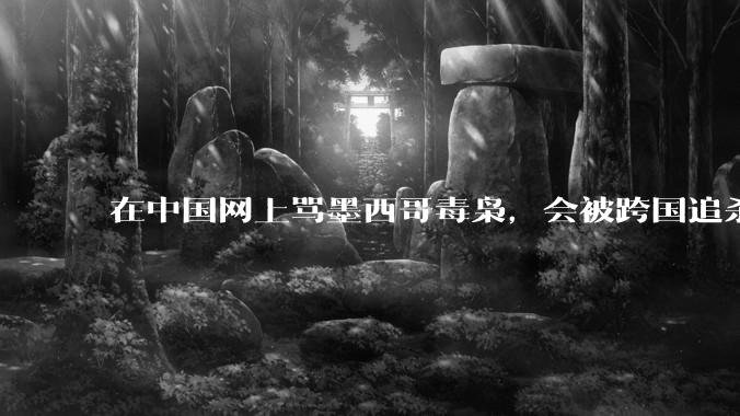 在中国网上骂墨西哥毒枭，会被跨国追杀吗？