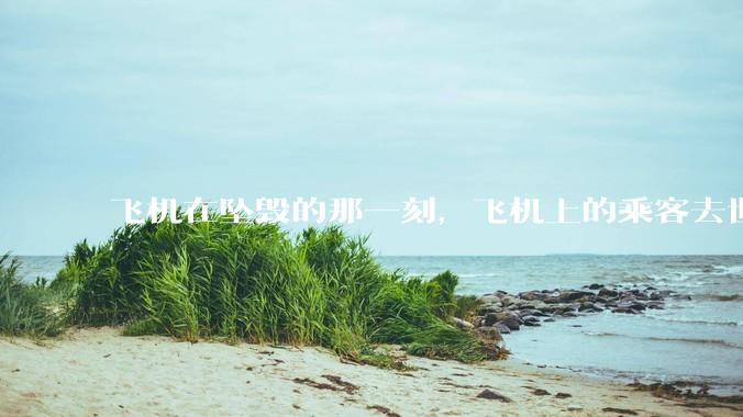 飞机在坠毁的那一刻，飞机上的乘客去世的过程 会不会很痛？