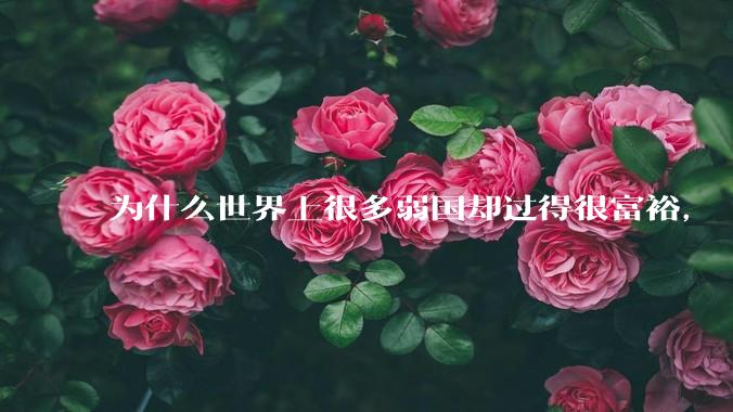 为什么世界上很多弱国却过得很富裕，“落后就要挨打”是不是一个伪命题？