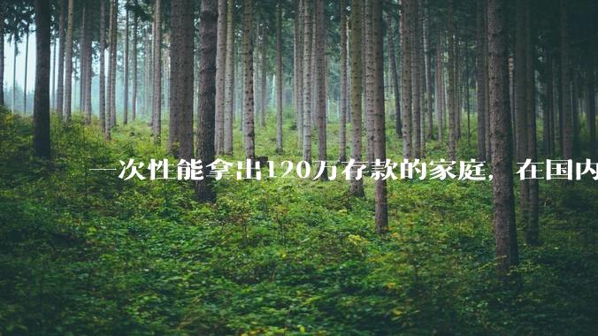 一次性能拿出120万存款的家庭，在国内还有多少呢？